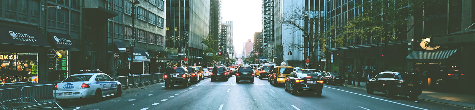 CBusiness Consult Lite