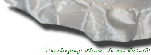 I am sleeping, please, Do Not Disturb!