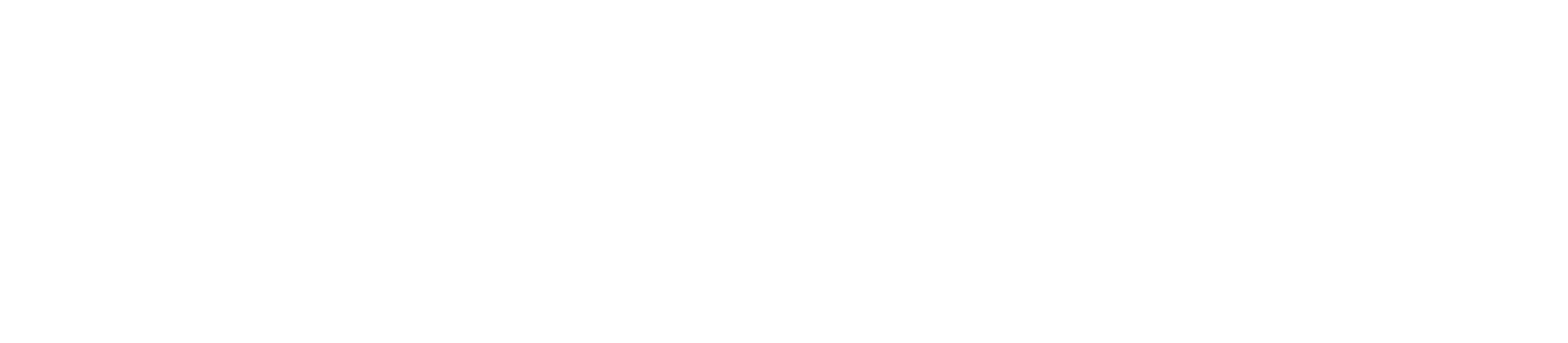 iConvert Sneakers