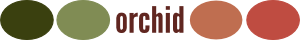 Orchid 