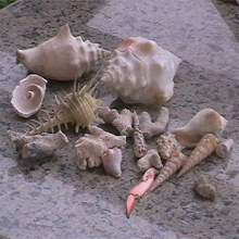 Worth A Thousand Words