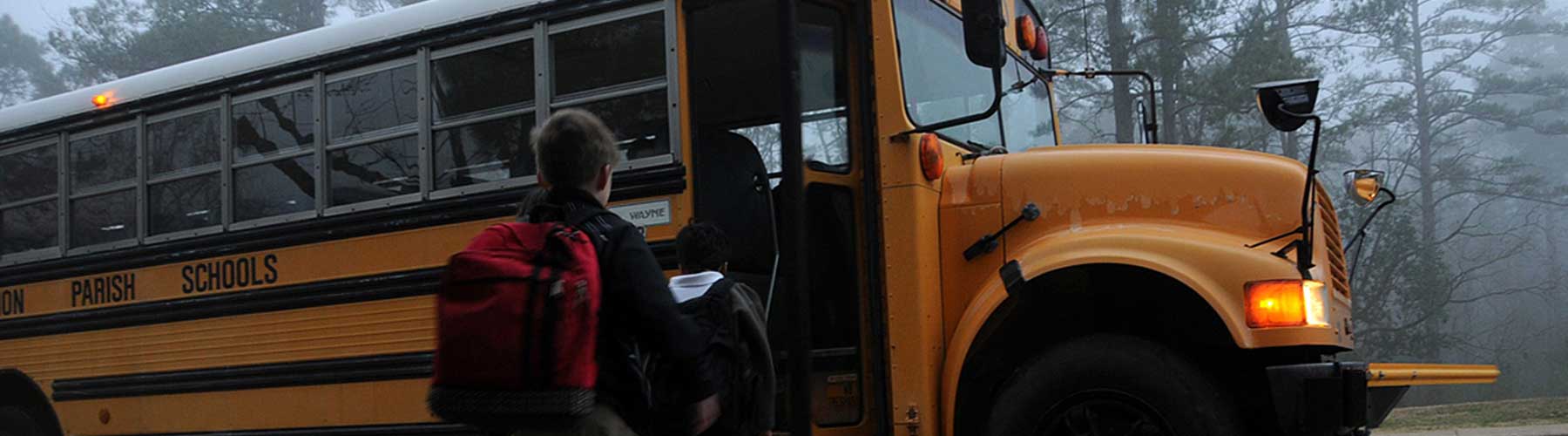 School Education Lite