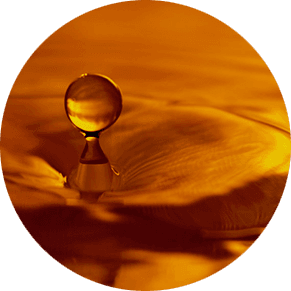 Display an image or a slide show!