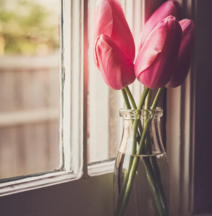 Morning Tulips bouquet of pink tulips in a glass jar