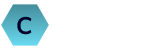 Technology Software Firm